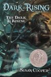 Dark Is Rising #2 (Dark Is Rising Sequence)(HC)