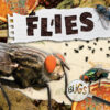 Flies (Bugs)