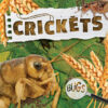 Crickets (Bugs)