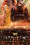 City of Fallen Angels #4 (Mortal Instruments)(HC)