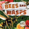 Bees and Wasps (Bugs)