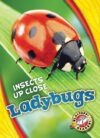 Ladybugs (Insects Up Close)