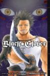 Black Clover Vol. 6 (Black Clover)