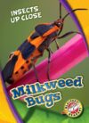 Milkweed Bugs (Insects Up Close)