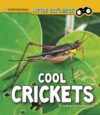 Cool Crickets (Little Entomologist 4D)
