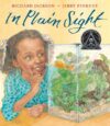 IN PLAIN SIGHT : A GAME