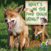 What's on the Food Chain Menu? (My Science Library
