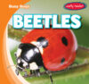 Beetles (Busy Bugs)