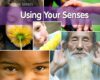 Using Your Senses (Five Senses)