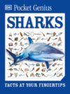 Sharks: Facts at Your Fingertips (Pocket Genius)