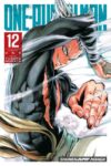 One-punch Man Vol. 12