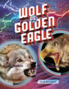 Wolf Vs. Golden Eagle
