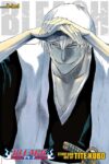 Bleach 19-20-21 (Due 6-21-21)