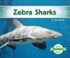 Zebra Sharks (Sharks)(LB)