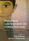Developmental Social Neuroscience and Childhood Br
