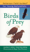 Birds of Prey Field Guide