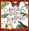 Caterpillars Bugs & Butterflies