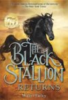 Black Stallion Returns (Black Stallion)