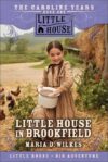 LITTLE HOUSE IN BROOKFIELD