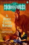Horse Called Wonder #1 ( Thoroughbred )