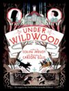 Under Wildwood #2  ( Wildwood Chronicles )