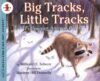 BIG TRACKS  LITTLE TRACKS : FOLLOWING AN
