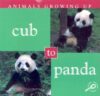 Cub to Panda (Animals Growing Up)