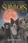 Red Moon Rising #4 (Survivors: The Gathering Darkn