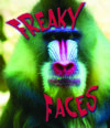 Freaky Faces (Weird and Wonderful Animals)