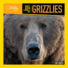 Face to Face with Grizzlies (Face to Face with Ani