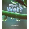 WHAT IS WET?
