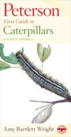 Peterson First Guide to Caterpillars North Amer 2e