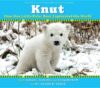 KNUT : HOW ONE LITTLE POLAR BEAR CAPTIVA