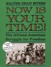 NOW IS YOUR TIME! : THE AFRICAN-AMERICAN