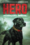 Hurricane Rescue #2 (Hero)