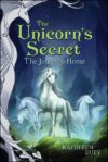 Journey Home #8 (Unicorn's Secret)