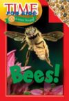 Bees!: A My Incredible World Picture Book for Chil