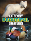 Extremely Beautiful Creatures (Unreal But Real Ani