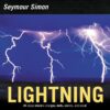Lightning