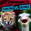 Cheetah vs. Ostrich (Bizarre Beast Battles)