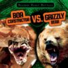Boa Constrictor vs. Grizzly Bear (Bizarre Beast