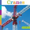 Cranes ( Seedlings )