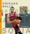 Story of the Chicago Bulls