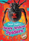 Black Widow Spiders (Creepy Crawlies)