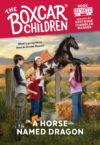HORSE NAMED DRAGON #114(BOX CAR CHILDREN