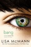 Bang #2 (Visions) (HC)