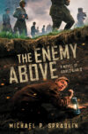 Enemy Above: A Novel of World War II