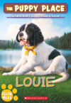 Louie  #51 ( Puppy Place)