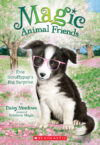 Evie Scruffypup's Big Surprise #10 (Magic Animal