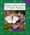 MOTHS & BUTTERFLIES OF NORTH AMERICA